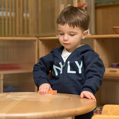 Montessori Principles